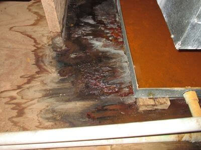 About Safesurge Repair - water damage restoration experts in Yonkers